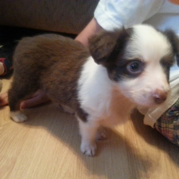 Meet your Posher, Jennifer - Picture 1 of 1